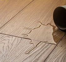 Kronopol Aurum Fiori Aqua Zero d4589 Дуб DALIA фото 2 | FLOORDEALER